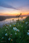 Nature's Awe