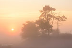 Hazy Sunrise