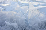 Drift Ice