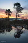 Reflected