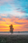Fiery Sky