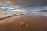 Seaside