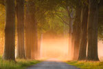 Mist Floating By