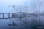 Misty Morning