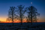 Under a Waning Moon