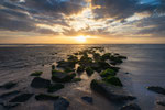 Rocky Shore