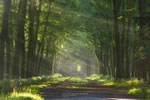 Path of Sunrays