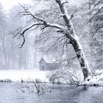 Winter is Here