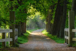 Gateway to Spring