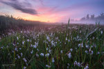 Whispers of Dawn