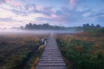 Mystic Path