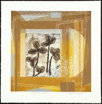 Aurore de nacre, 2010, collage et relief, 38,5 X 38 cm