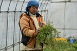 雑草という草はありません。どんな植物にも役割・意味があります、土の上だけで葉わからない全体の流れをじっくり。