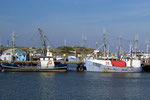 Fischerboote in Hvide Sande / DK