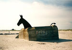 Bunker aus dem 2. Weltkrieg am Strand von Blavand