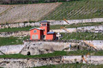 Weinberg bei Freyburg an der Unstrut