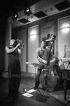 Toth Viktor Arura Trio © Emmanuelle Vial 2013