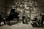 Jean-Philippe Viret Trio © 2011 Emmanuelle Vial