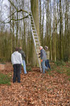 Leiter angelehnt und gesichert und ...Foto: Josef Taphorn