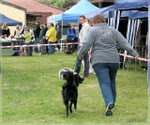 Sabine mit Faye in Wiesental 2010