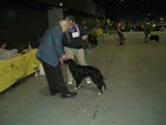 Faye in Offenburg 2010