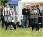 Sabine mit Faye in Wiesental 2010 daneben Schwesterchen Joy