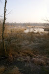 Silvester 2008 im Henstedter Moor
