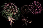 Feuerwerk beim Seefunkeln auf der LGS 2011