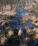 Das Henstedter Moor im Winter