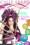 Estreno de Tonadas 2014 (Click para ver mapa)