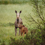 Mutter und Kind / Mor og barn