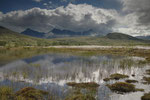 Dørålen, Rondane