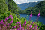  Over Bandak / Über dem Bandak, Dalen, Telemark 