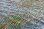 Wind Wasser Binsen