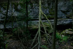 in der Schlucht