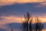 Monatsfotos 2021