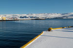 Hafen von Båtsfjord