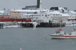 Hafen von Vardø; Ausgangspunkt zum Besuch von Hornøya