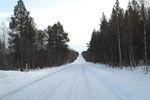 Wir haben das Pasviktal erreicht. Lockere Kiefernwälder entlang der Strasse zeigen den Wechsel von der Tundra zur Taiga