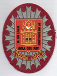 Escudo de pecho de Policía Local de Ávila