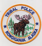 Parche de brazo de la Policía de Kongiganak.