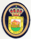 Parche de gorra de la Policía Local de Arenas de San Pedro