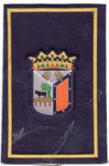 Policías Local de Salamanca. Uniforme de representación