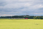 Unterwegs durch die Felder und Wiesen zwischen Zug und Berthelsdorf, 22. Juni 2018. Foto: Felix Bochmann