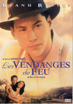 "Les vendanges de feu" (1995) par MyLoveQ