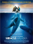 "Miracle en Alaska" (2012) par LoveMachine.