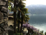 Ausblick