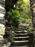 Treppen zum See