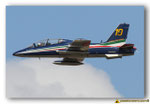 Frecce Tricolori - ITA- RIAT 2013