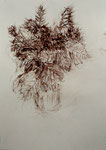 Die letzten Blumen aus dem Max Liebermann Garten 2021, V, 21,1 x 29,7 cm